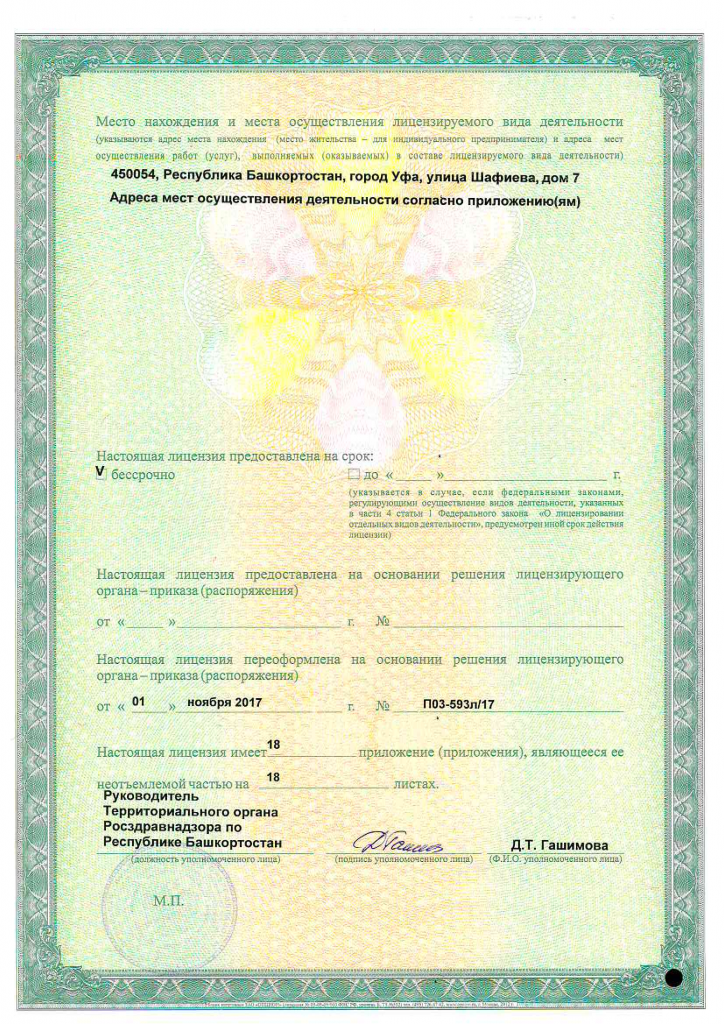 задняя.png